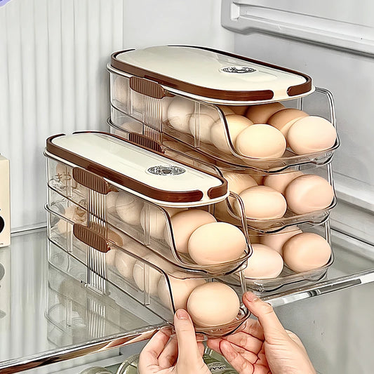Distributeur d’œufs automatique pour réfrigérateur